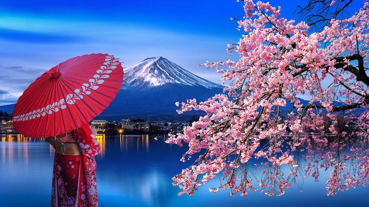 Foto flor de cerezo rosa por el árbol contra el cielo