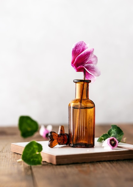 Flor de ciclamen rosa en miniatura en una pequeña botella de vidrio de farmacia marrón sobre una mesa de madera