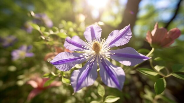 Flor de clemátide bellamente florecida con fondo natural IA generativa