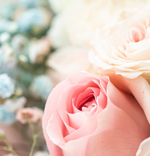 Flor color de rosa en un jardín de belleza floral y fondo botánico para invitación de boda y tarjeta de felicitación concepto de naturaleza y medio ambiente