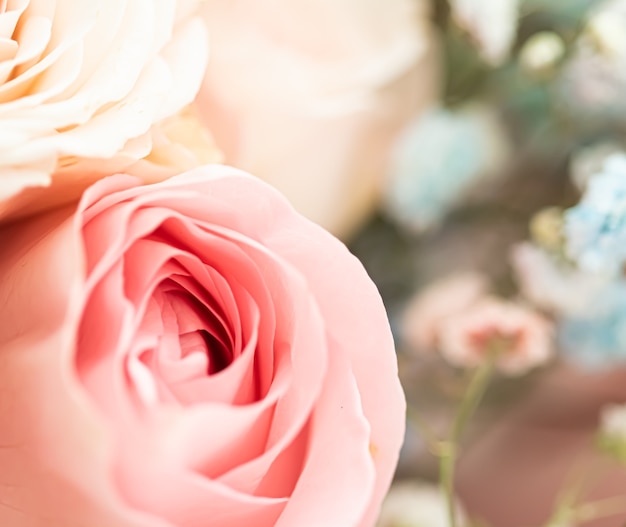 Flor color de rosa en un jardín de belleza floral y fondo botánico para invitación de boda y tarjeta de felicitación concepto de naturaleza y medio ambiente