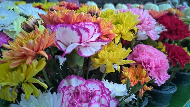 Flor de colores mezclados en un jardín.