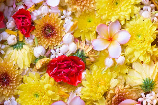 Flor colorida en cuencos de agua y pistola de tubería