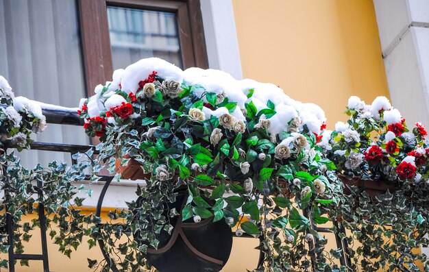 Flor congelada na neve no palácio dolmabahce