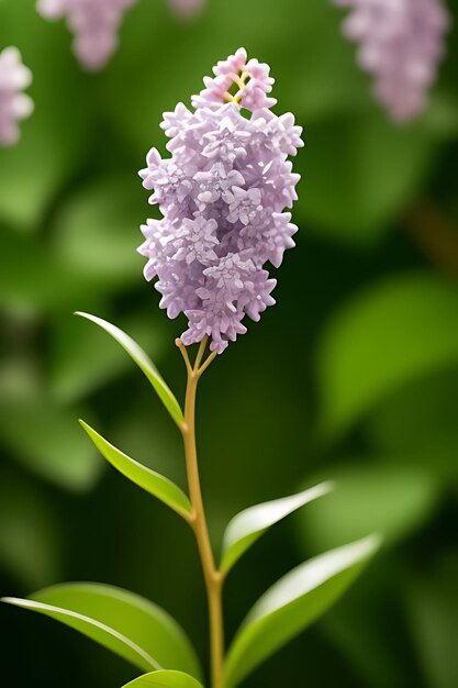 Foto flor de aparência realista