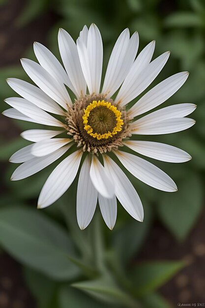 Flor de aparência realista