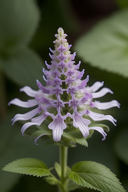 Foto flor de aparência realista