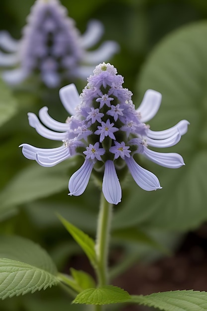 flor de aparência realista