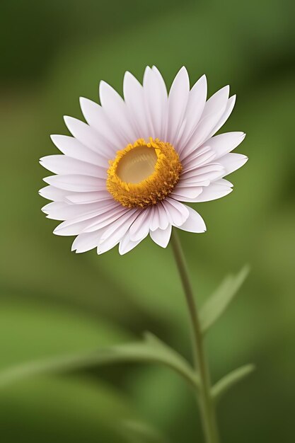 flor de aparência realista