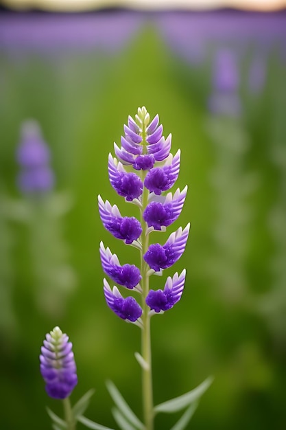 flor de aparência realista