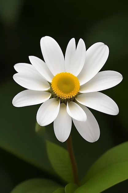 flor de aparência realista