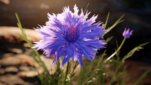 Flor de botão de solteiro Floração realista Imagem gerada por IA