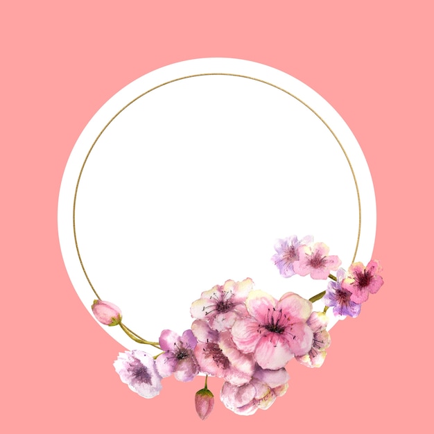 Flor de cerejeira em aquarela, ramo de flor de cerejeira com flores rosa em uma moldura de ouro com um fundo rosa