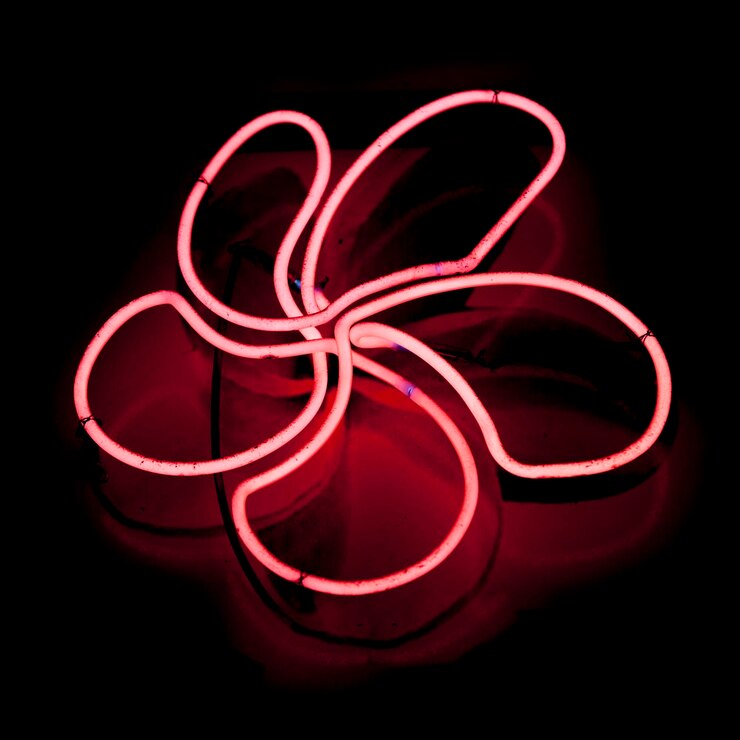 Foto flor de frangipani rosa luz neon