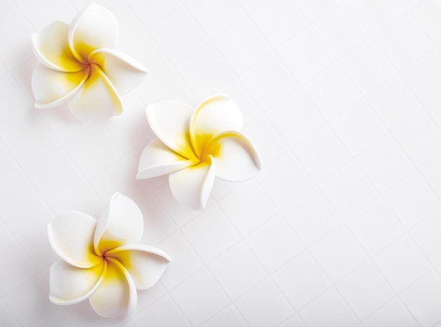 Flor de frangipani vista superior em azulejo branco Copiar espaço Fundo de spa de verão