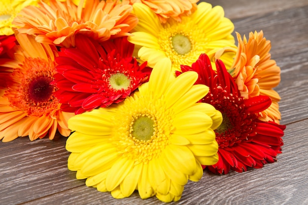 flor de gerberas