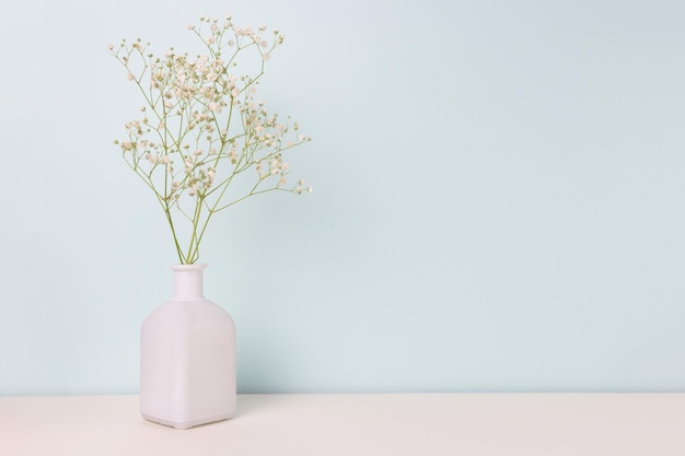 Flor de Gypsophila em vaso na frente de fundo azul