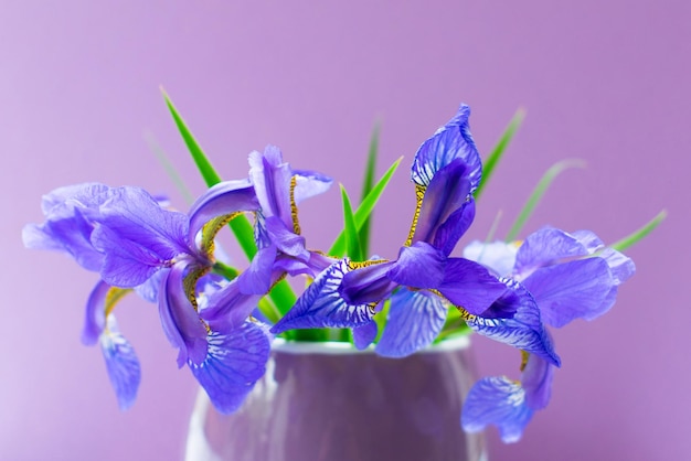 Flor de íris azul