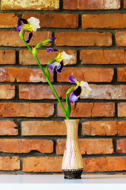 Flor de íris em um vaso em uma mesa branca contra o fundo de um close-up de uma parede de tijolos