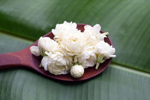 Flor de jasmim na folha de bananeira