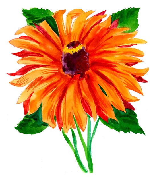 Flor de laranja Tinta e aquarela desenho