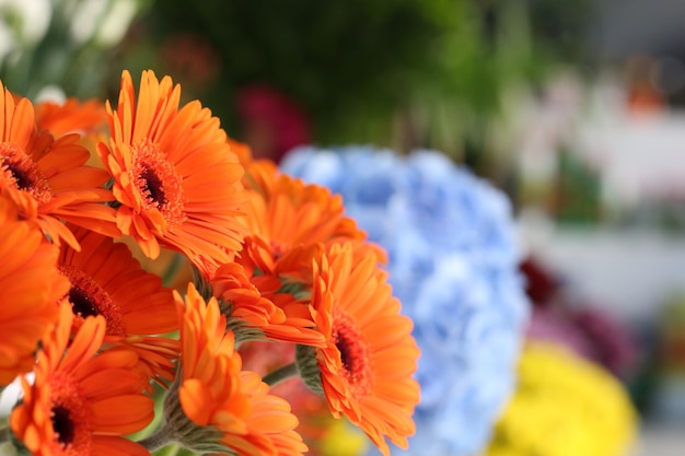 Foto flor de laranja