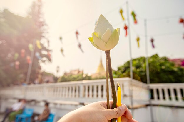 Flor de lótus com vela na mão de uma mulher. Buda do templo tailandês oferecendo em Chiang Mai, Tailândia