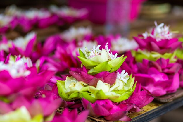 Foto flor de lótus whiite e flor rosa fecham o fundo.