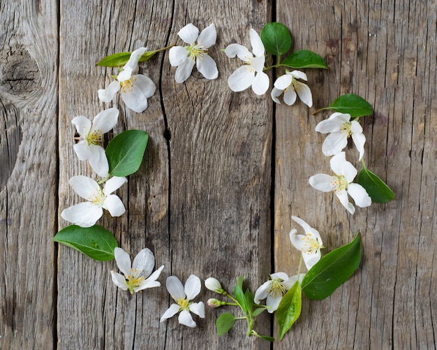 Flor de maçã na madeira