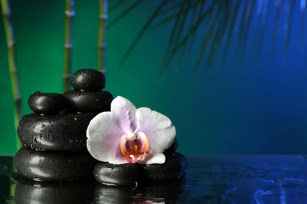 Flor de orquídea com gotas de água e pedras de seixo em fundo colorido escuro