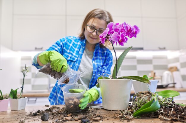 Flor de orquídea Phalaenopsis em vaso, mulher cuidando do transplante de planta, fundo de cozinha