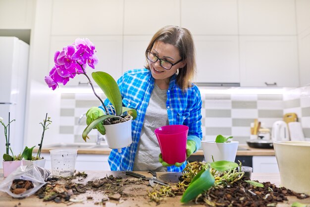 Flor de orquídea Phalaenopsis em vaso, mulher cuidando do transplante de planta, interior da cozinha