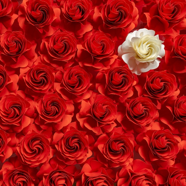 Flor de papel, rosas brancas sobre fundo de rosas vermelhas, flor abstrata, corte de papel, decorações de casamento