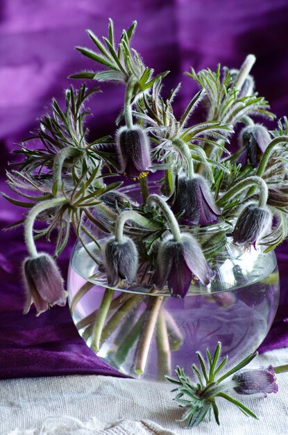 Flor de Páscoa em vaso de vidro na mesa