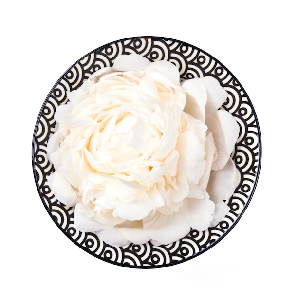 Foto flor de peônia no prato no fundo branco isolado