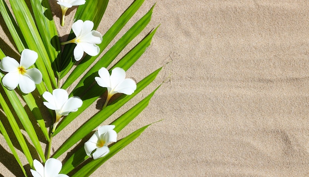 Flor de plumeria em folhas de palmeira tropical em fundo de areia. conceito de fundo de verão