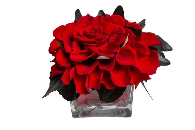 Flor de rosa vermelha preservada isolada no presente de luxo de fundo branco