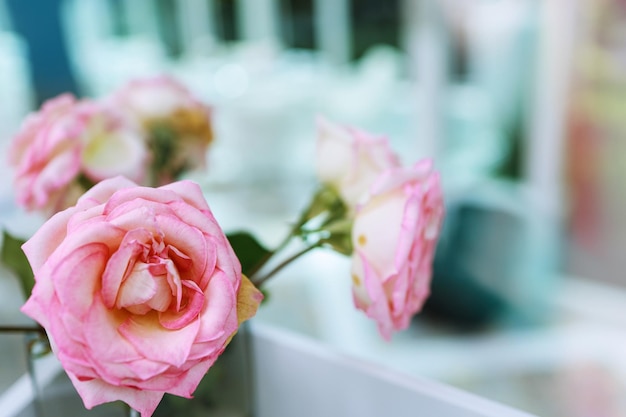 Flor de rosas naturais em vaso fica na mesa em um café para plano de fundo