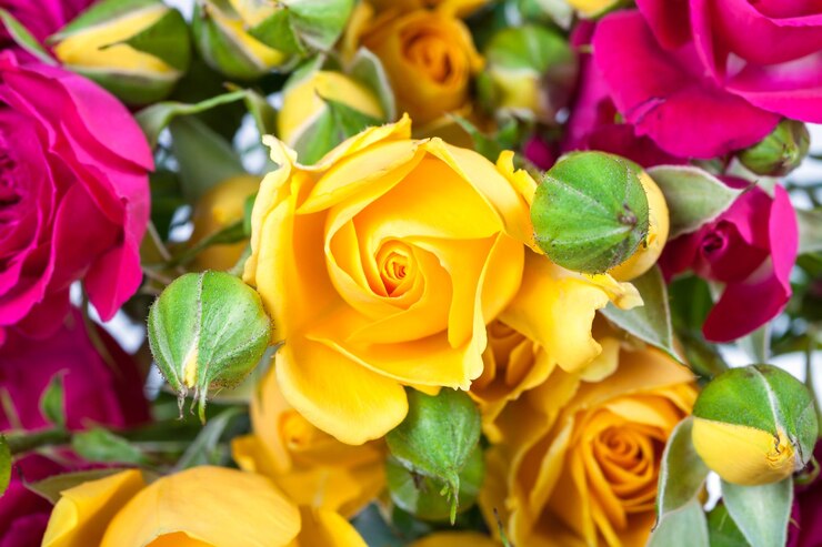 Foto flor de spray de rosa amarela com botões no buquê
