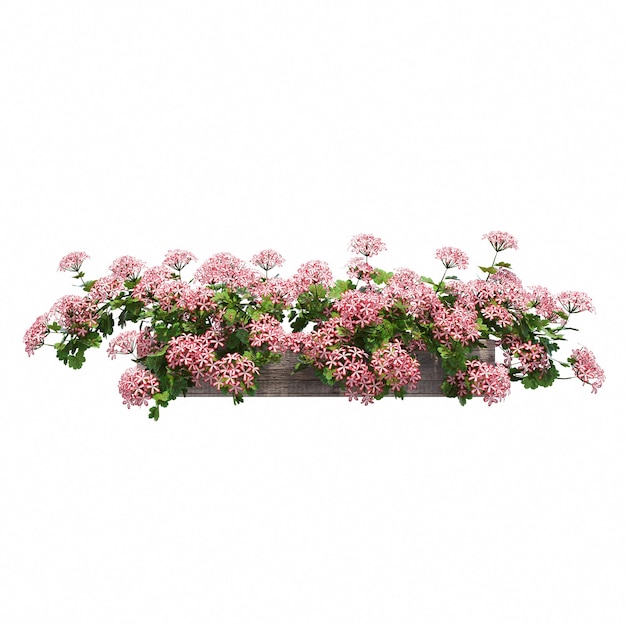 flor decorativa em um pote isolado no fundo branco, ilustração 3D, cg render