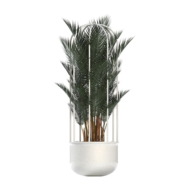 flor decorativa em uma panela isolada no fundo branco ilustração 3D cg render