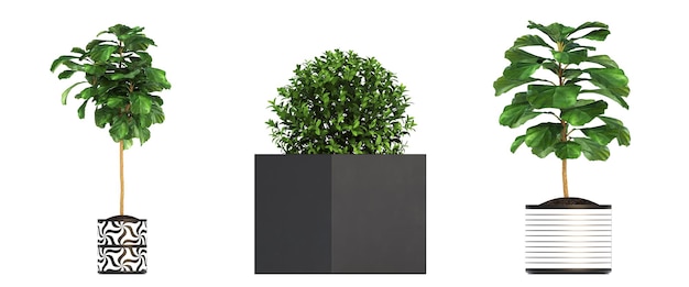 flor decorativa em uma panela isolada no fundo branco ilustração 3D cg render