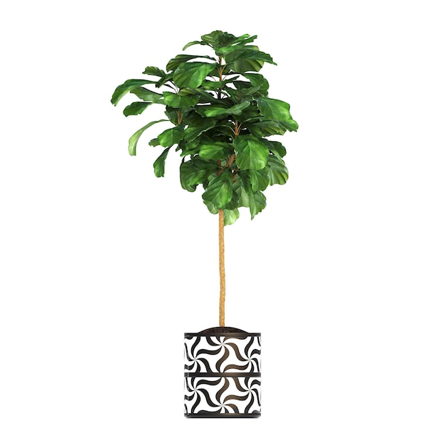 Flor decorativa em uma panela isolada no fundo branco ilustração 3d cg render