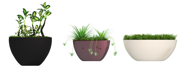 flor decorativa en una olla aislada sobre fondo blanco ilustración 3D cg render