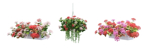 flor decorativa en una olla aislada sobre fondo blanco, ilustración 3D, cg render