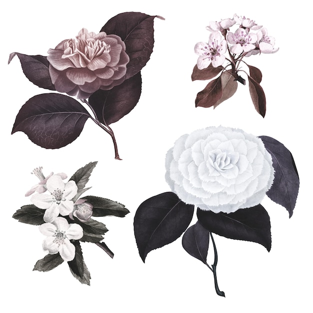 Flor dibujada a mano en un conjunto de elementos de diseño de estilo vintage