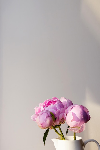 Flor em botão de peônia rosa branca e fofa florescendo em fundo cinza pastel mínimo elegante Composição floral mínima criativa Papel de parede de botânica impressionante ou cartão de saudação vívido