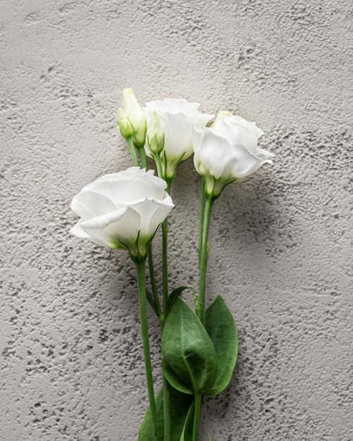 Flor de eustoma blanca sobre fondo de piedra gris