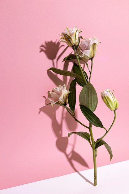 Foto flor de flor en un jarrón sobre la mesa