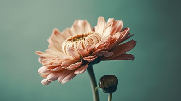 Una flor en un florero con un fondo azul.